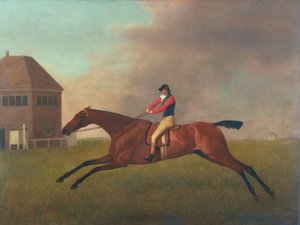 Baronetto con Sam Chifney in sella, 1791 da George Stubbs